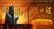 精品福利在线观看